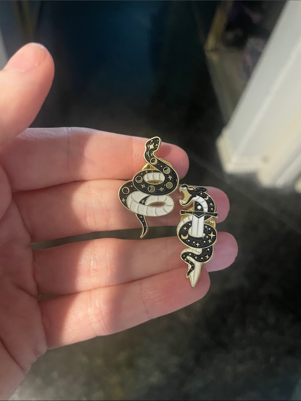 Magical Snake Pin Set (set of 2)